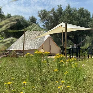 Campo de lujo Bellissima Bell Tent, Tortosa